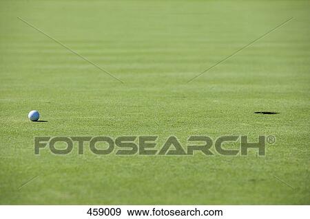 A golf ball on a putting green View Large Photo Image Stock Photo - A golf ball on a putting green. Fotosearch