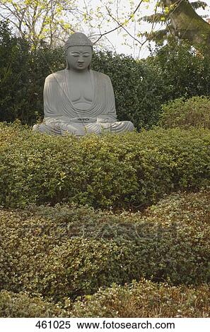 A Buddha statue in a garden View Large Photo Image Stock Photography - A Buddha statue in a garden. Fotosearch