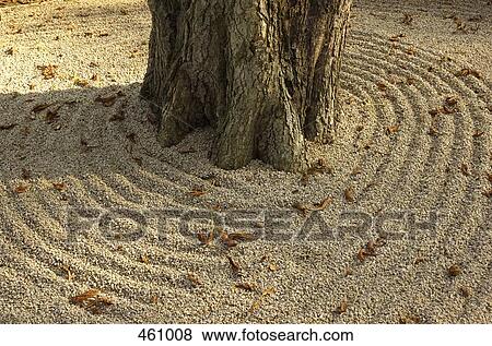 Stock Photo - Patterns around a tree trunk in a rock garden. Fotosearch