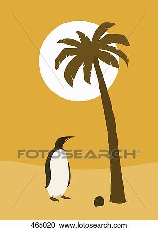 Clipart - A confused penguin standing under a palm tree. Fotosearch