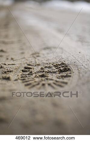 A shoe print in sand View Large Photo Image Stock Image - A shoe print in sand. Fotosearch