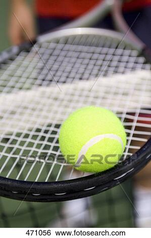 A tennis ball balancing on a tennis racquet View Large Photo Image Stock Photograph - A tennis ball balancing on a tennis racquet. Fotosearch