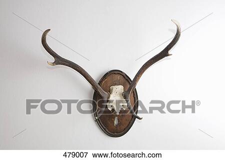 Stock Photo - Antlers on the wall. Fotosearch