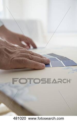 Comparing color samples to wallpaper View Large Photo Image Stock Image - Comparing color samples to wallpaper. Fotosearch