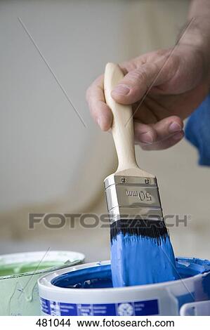 Person dipping a paintbrush into a paint tin View Large Photo Image Picture - Person dipping a paintbrush into a paint tin. Fotosearch