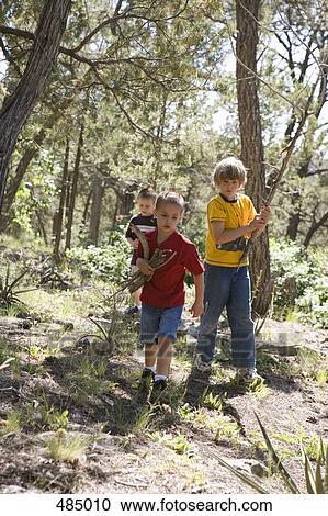 Three boys collecting wood in a forest View Large Photo Image Stock Image - Three boys collecting wood in a forest. Fotosearch
