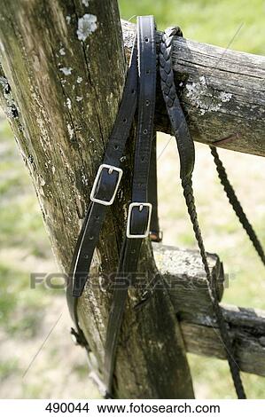 A bridle hanging on a wooden fence View Large Photo Image Picture - A bridle hanging on a wooden fence. Fotosearch