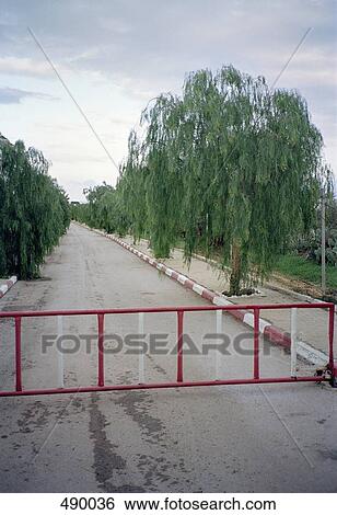 A closed gate over a tree lined road View Large Photo Image Stock Photograph - A closed gate over a tree lined road. Fotosearch