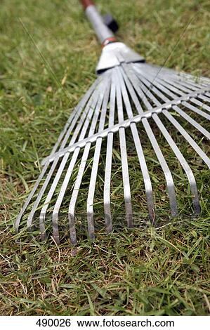 Stock Photograph - A rake on the ground. Fotosearch