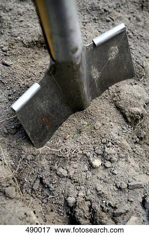 A shovel in dirt View Large Photo Image Stock Photo - A shovel in dirt. Fotosearch