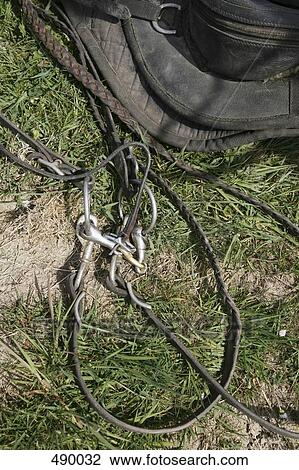 Horse riding equipment on the ground View Large Photo Image Stock Image - Horse riding equipment on the ground. Fotosearch