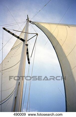 Sails and mast of a yacht View Large Photo Image Stock Photo - Sails and mast of a yacht. Fotosearch