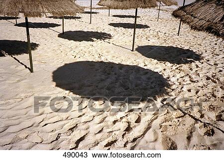 Straw umbrellas on a beach View Large Photo Image Stock Image - Straw umbrellas on a beach. Fotosearch