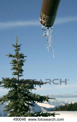 Water running from a pipe in an alpine setting View Large Photo Image Stock Photograph - Water running from a pipe in an alpine setting. Fotosearch