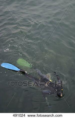 A person snorkeling View Large Photo Image Picture - A person snorkeling. Fotosearch