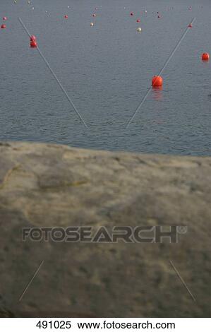Stock Photography - Buoys floating on water. Fotosearch