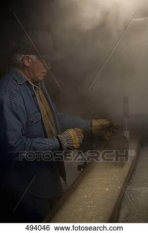 A man processing maple sugar View Large Photo Image Stock Photograph - A man processing maple sugar. Fotosearch