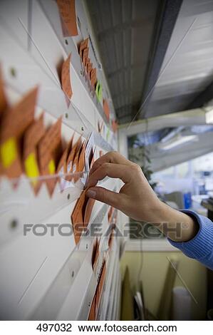 A woman placing a piece of paper on a board View Large Photo Image Stock Image - A woman placing a piece of paper on a board. Fotosearch