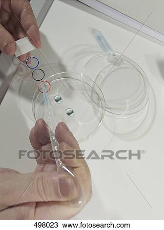 A man dropping liquid onto a microscope slide View Large Photo Image Stock Image - A man dropping liquid onto a microscope slide. Fotosearch