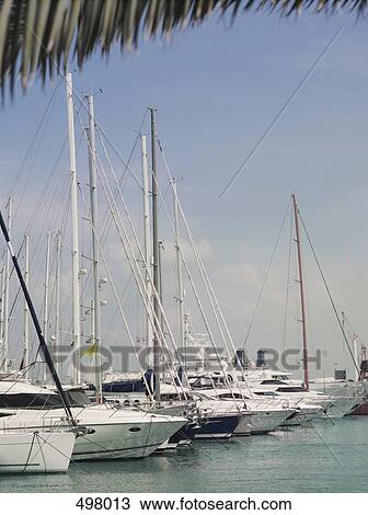 Yachts in a row at a marina View Large Photo Image Stock Image - Yachts in a row at a marina. Fotosearch