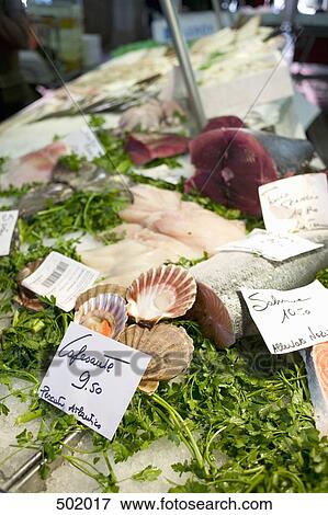 Fresh fish stall View Large Photo Image Stock Photo - Fresh fish stall. Fotosearch