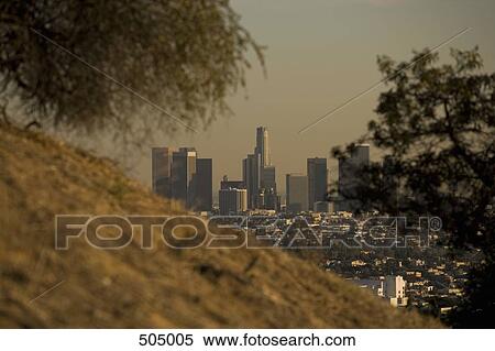 Stock Photography - A cityscape through trees. Fotosearch