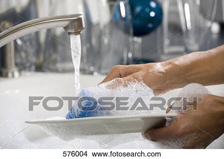 Hands washing a plate View Large Photo Image Picture - Hands washing a plate. Fotosearch
