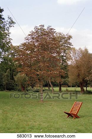 Empty outdoor chair on lawn View Large Photo Image Stock Image - Empty outdoor chair on lawn. Fotosearch