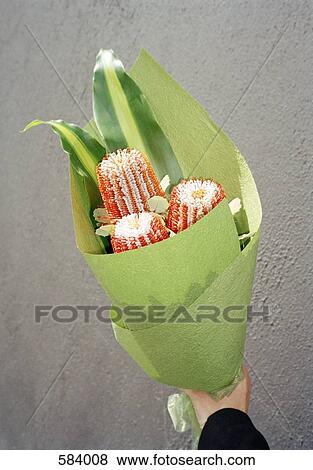 Stock Photo - A hand holding bunch of flowers. Fotosearch