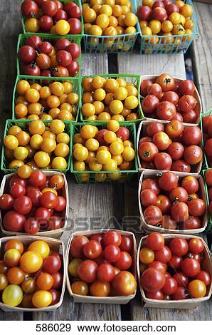 Stock Photo - Crates of multi colored tomatoes, Nashville, Tennessee, USA. Fotosearch