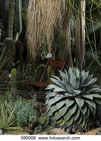 A garden chair amongst plants in a nursery View Large Photo Image Stock Photo - A garden chair amongst plants in a nursery. Fotosearch