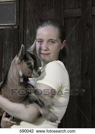 A girl holding a kid goat View Large Photo Image Stock Image - A girl holding a kid goat. Fotosearch