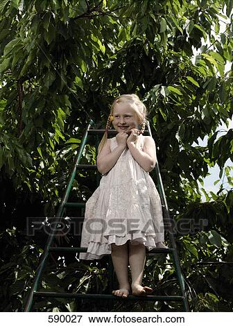 Stock Photo - A girl standing on a ladder underneath a cherry tree. Fotosearch