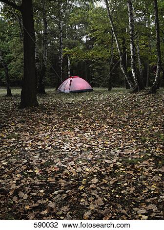 Stock Image - A tent in a forest. Fotosearch