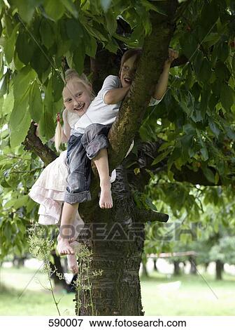 Two children sitting in a tree View Large Photo Image Stock Photo - Two children sitting in a tree. Fotosearch
