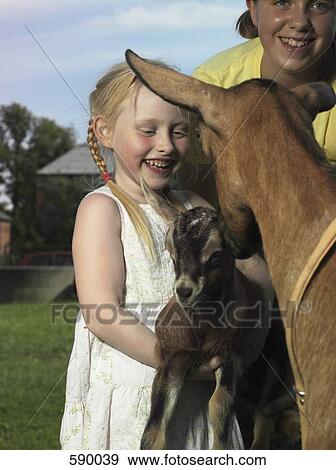 Two girls with a goat and it's kid View Large Photo Image Stock Photo - Two girls with a goat and it's kid. Fotosearch