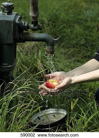 Washing an apple underneath an outdoor tap View Large Photo Image Stock Image - Washing an apple underneath an outdoor tap. Fotosearch
