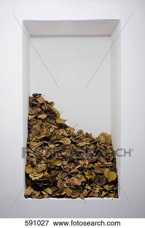 A heap of dead leaves on a shelf View Large Photo Image Stock Photo - A heap of dead leaves on a shelf. Fotosearch