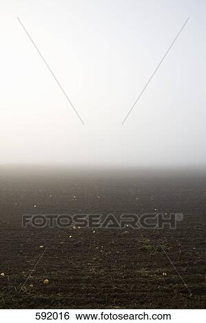A foggy field View Large Photo Image Stock Photograph - A foggy field. Fotosearch