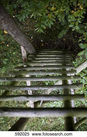 A handmaid wooden ladder View Large Photo Image Stock Photography - A handmaid wooden ladder. Fotosearch