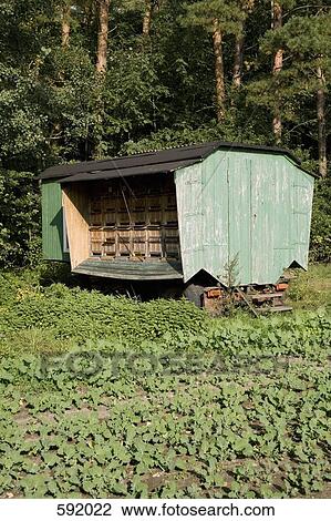 A weathered shed in a rural area View Large Photo Image Stock Image - A weathered shed in a rural area. Fotosearch