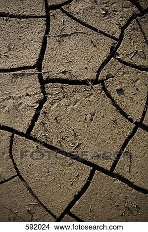 Cracked mud View Large Photo Image Picture - Cracked mud. Fotosearch