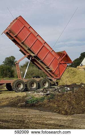 Dump truck emptying manure into a field View Large Photo Image Stock Photo - Dump truck emptying manure into a field. Fotosearch