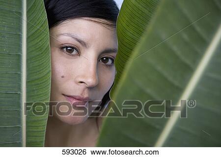 A woman behind banana leaves View Large Photo Image Stock Photograph - A woman behind banana leaves. Fotosearch