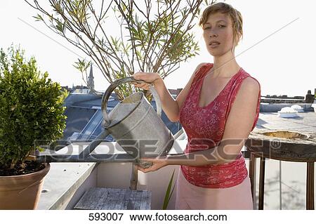 A woman watering plants on a rooftop garden View Large Photo Image Stock Photo - A woman watering plants on a rooftop garden. Fotosearch