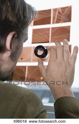 A man looking at a slide contact sheet View Large Photo Image Stock Photo - A man looking at a slide contact sheet. Fotosearch
