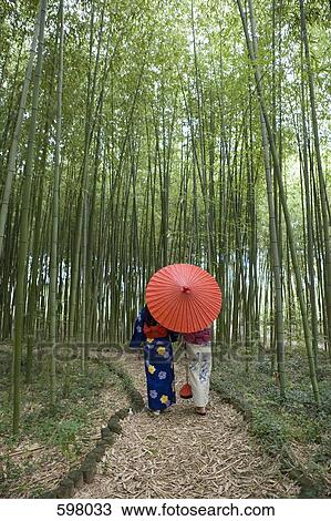 Stock Image - Two woman wearing kimonos walking through a bamboo grove. Fotosearch