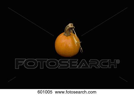 Stock Photography - A pumpkin. Fotosearch