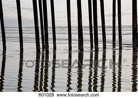 Wooden stilts in the sea View Large Photo Image Stock Photo - Wooden stilts in the sea. Fotosearch