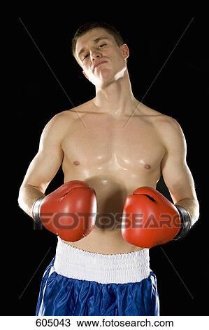 A boxer View Large Photo Image Stock Image - A boxer. Fotosearch